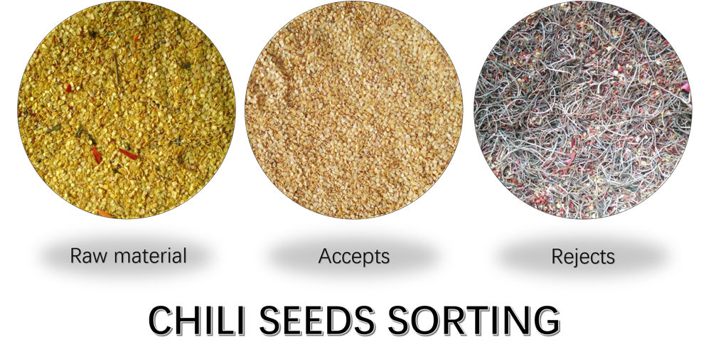 chili seeds sorting.png