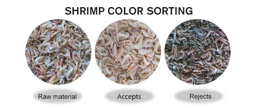 seafood colour sorting machine