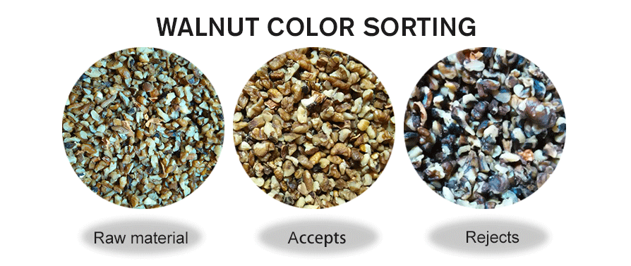 beans color sorter