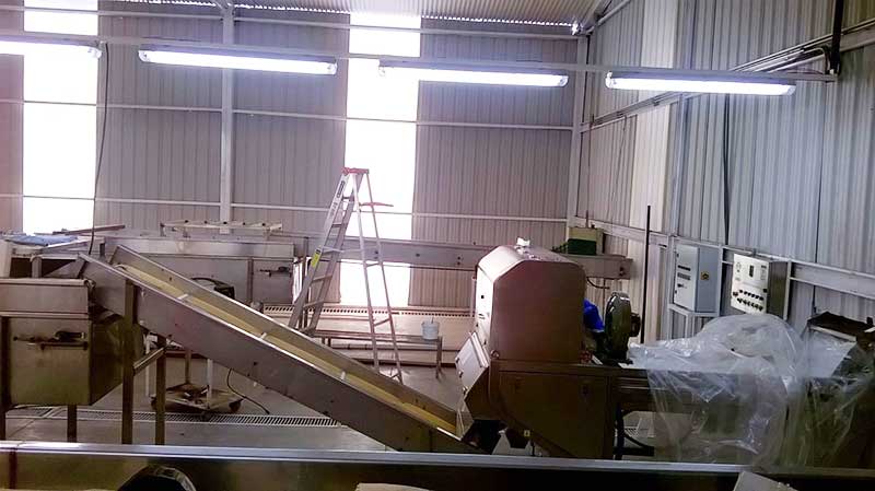 Garlic Sorter On-site.jpg