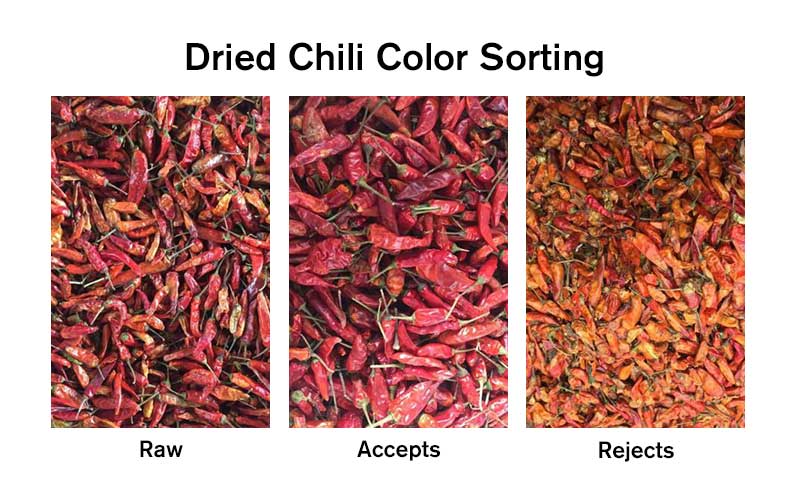 Dried Chili Color Sorting Demo.jpg