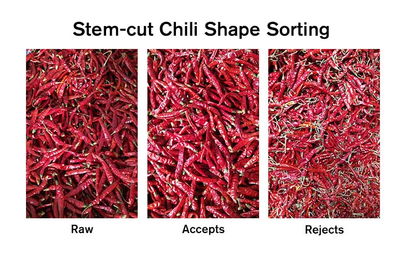 Stem-Chili Shape Sorting.jpg