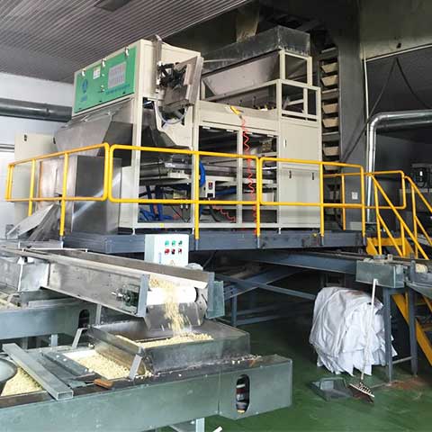 Angelon Garlic Sorter in USA